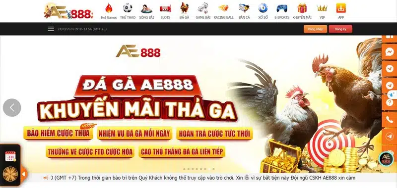 Đá Gà Ae888 - Đặt Cược Dễ Dàng, Nhận Thưởng Liền Tay